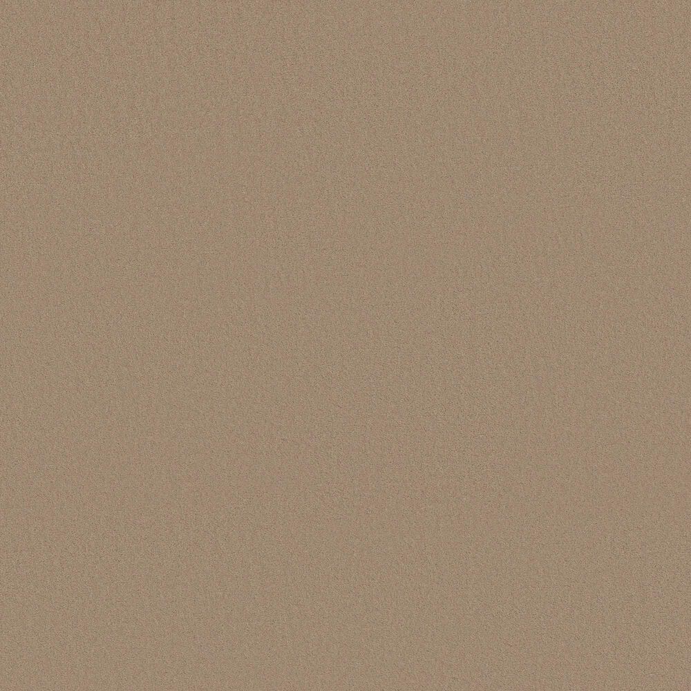 Anderson Tuftex Finery Carpet in Desert Dune, , large