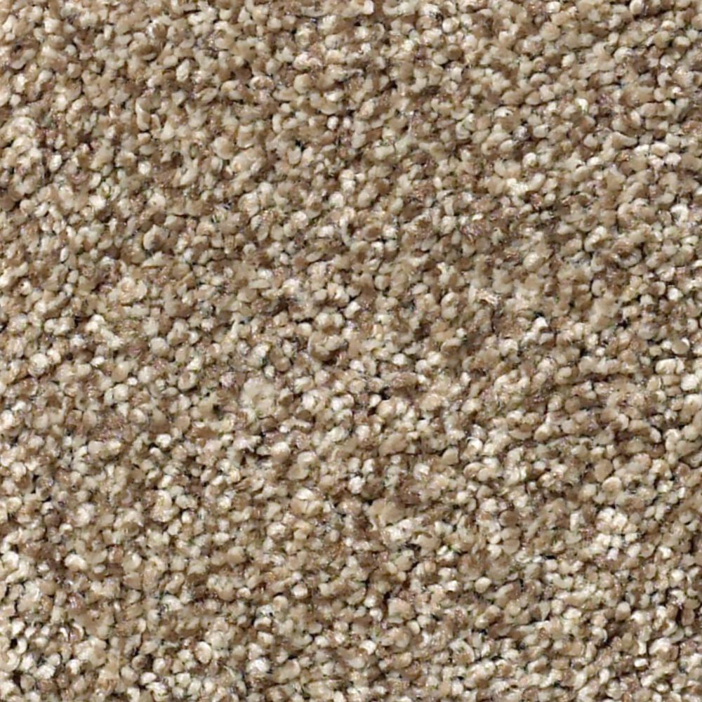 Shaw Find Your Comfort TT I Carpet in Camping Trip, , large