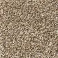 Shaw Find Your Comfort TT I Carpet in Camping Trip, , large