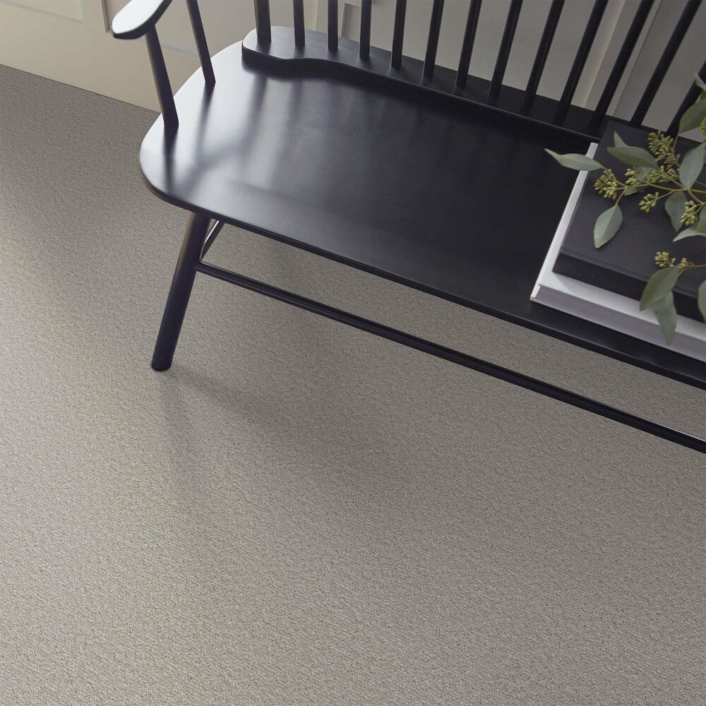 Shaw Clever Blend Carpet in Sculpture, , large