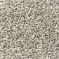 Shaw Shake It Up Carpet in Ornamental Gate, , large