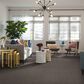 Philadelphia Mixed Essentials Carpet in Caldera, , large