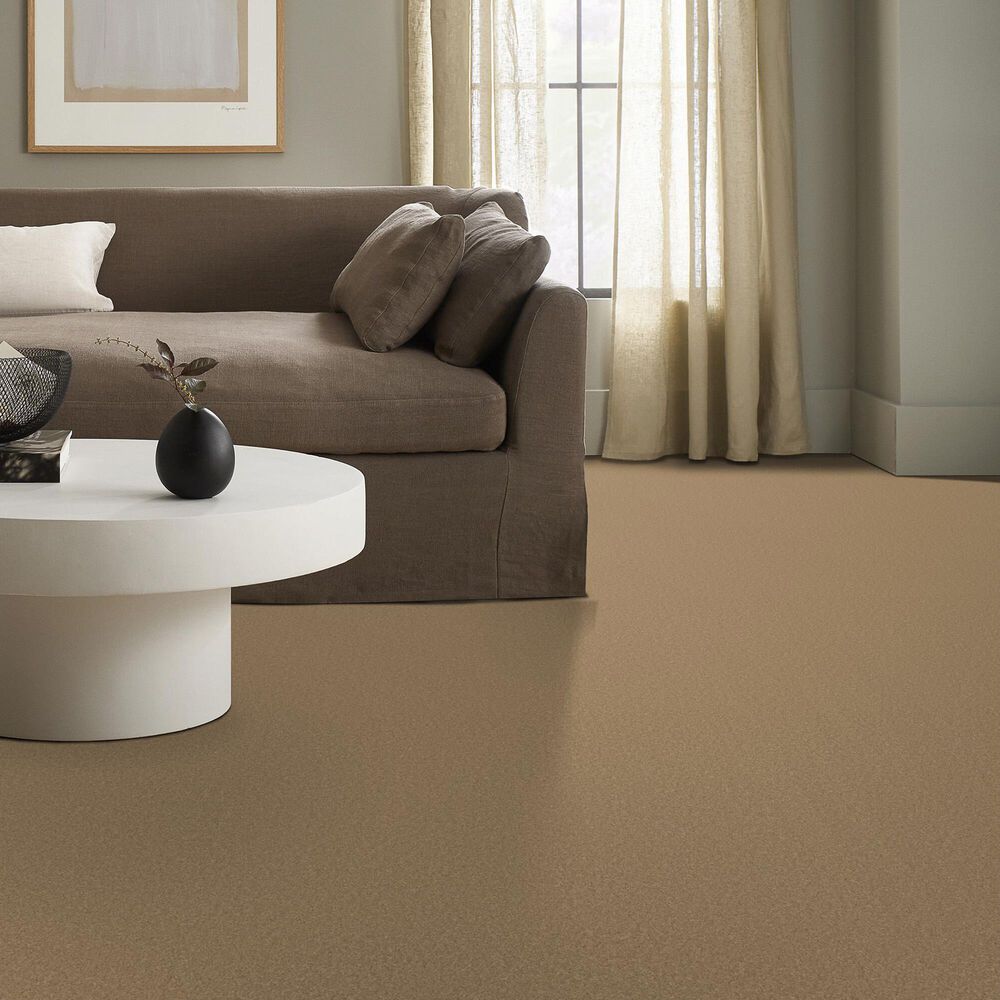 Anderson Tuftex Enduring Charm Carpet in Winter Wheat, , large