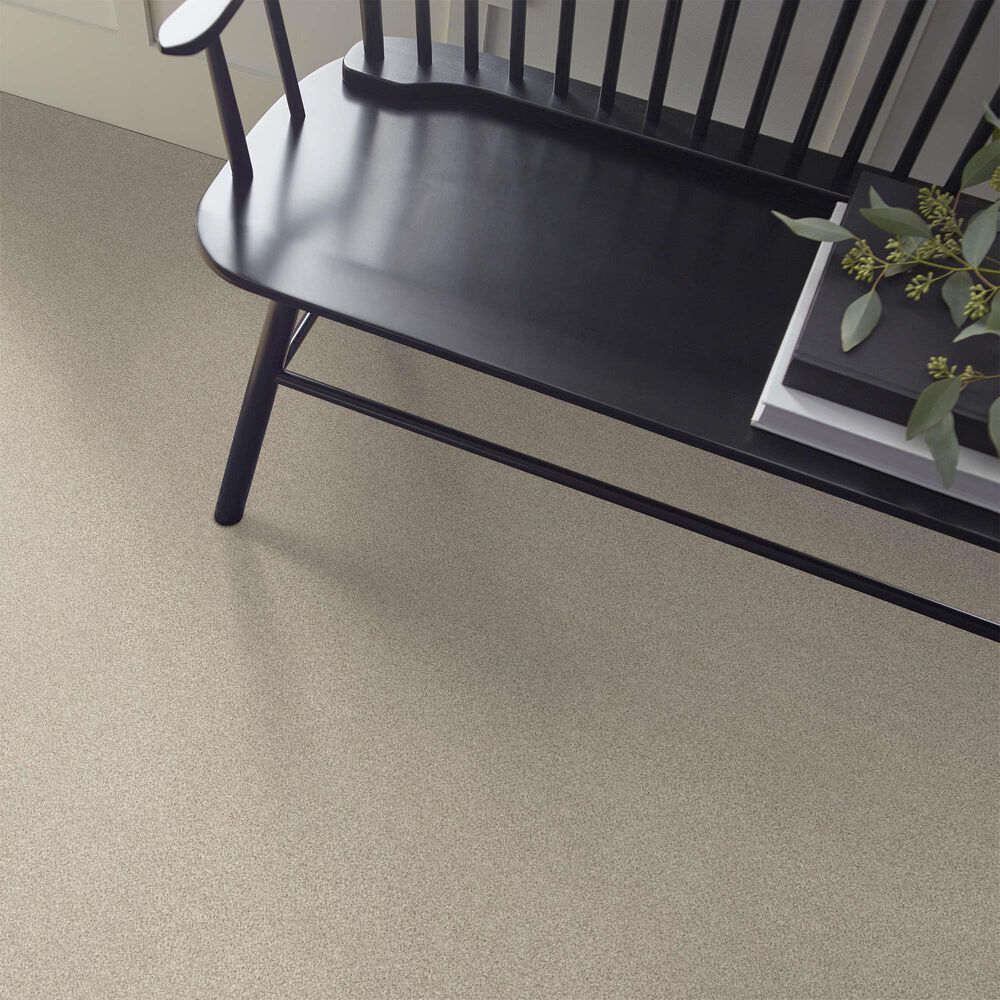 Shaw Tonal Comfort II Carpet in My Haven, , large