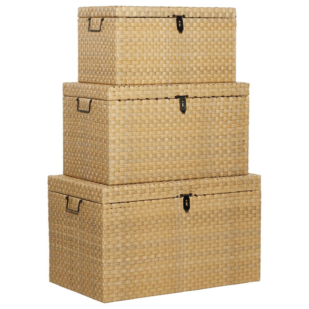 Maple and Jade Contemporary Metal Storage Trunk in Natural Brown Set of 3, , large