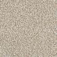 Masland Saint Luca Carpet in Nonstop, , large