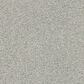 Anderson Tuftex Acadia Park Carpet in Classic Stone, , large