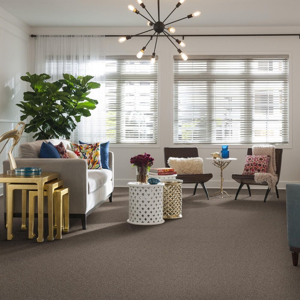 Shaw Foundations Take The Floor Tonal I Carpet in Triumph, , large