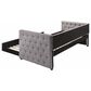 Pacific Landing Mockern Twin Daybed with Trundle in Grey, , large