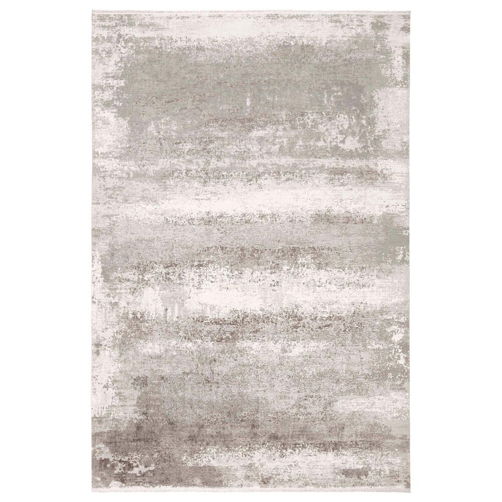 Feizy Cadiz Light Gray 3&#39;1&quot; x 5&#39; Area Rug, , large