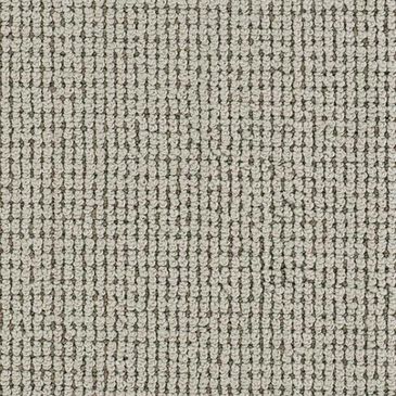 Dixie Home Oak Glen Carpet in Timber, , large
