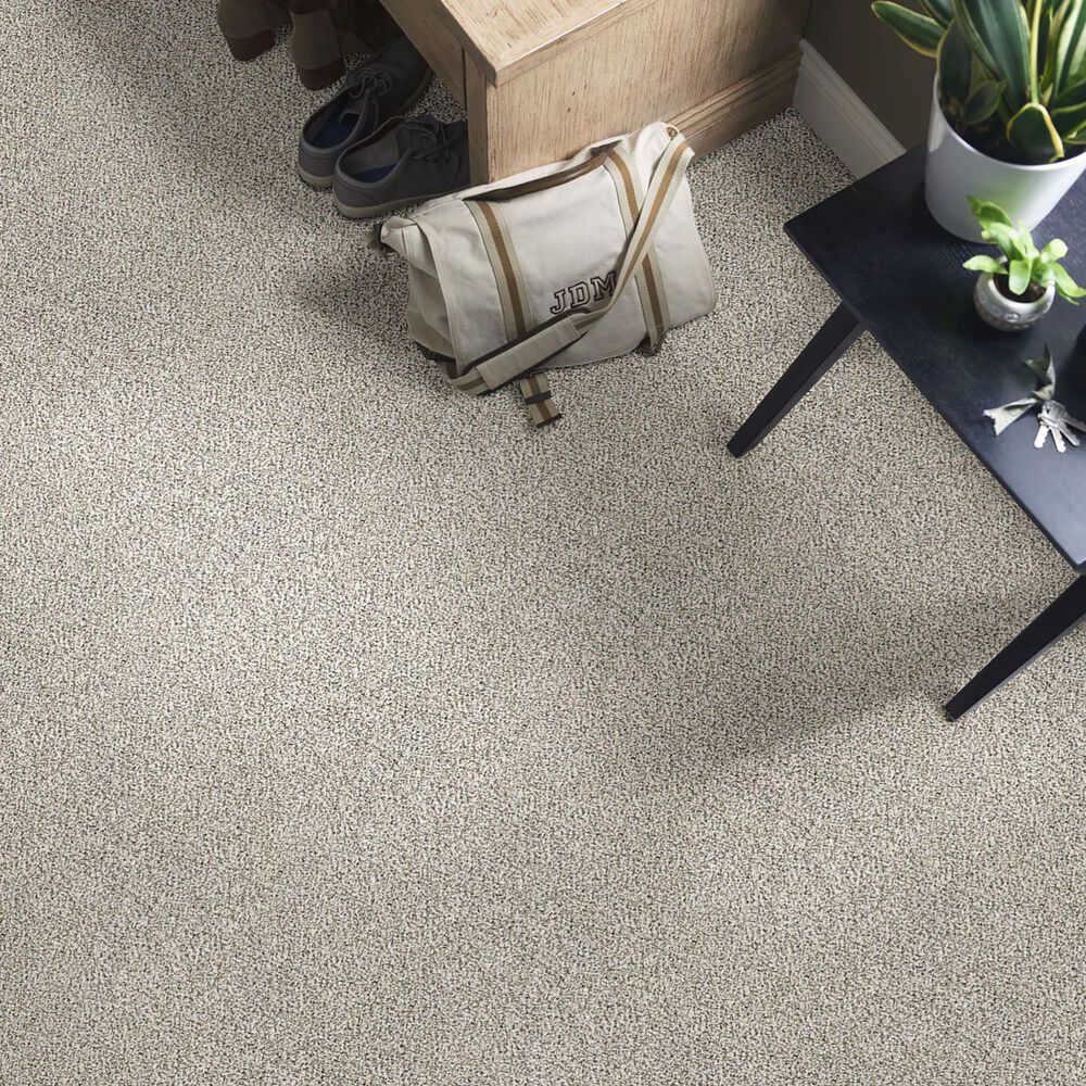 Shaw Simply the Best All Set I Carpet in Smoky Gray, , large