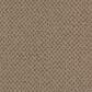 Masland Festivities Carpet in Chocolat, , large