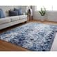 Feizy Indio 3"11" x 6" Blue Area Rug, , large