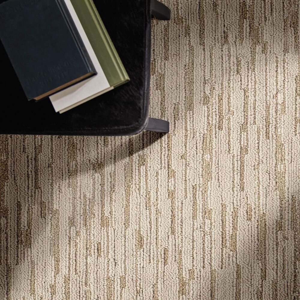 Anderson Tuftex Loom Carpet in Riviera Beach, , large