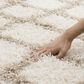 Safavieh Dallas Shag SGD258B-5 5"1" x 7"6" Ivory/Beige Area Rug, , large