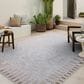 Amber Lewis x Loloi Topanga 7"10" x 10" Silver and Natural Indoor/Outdoor Area Rug, , large