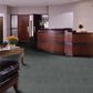 Shaw Latest Trend Carpet in Black Hills, , large