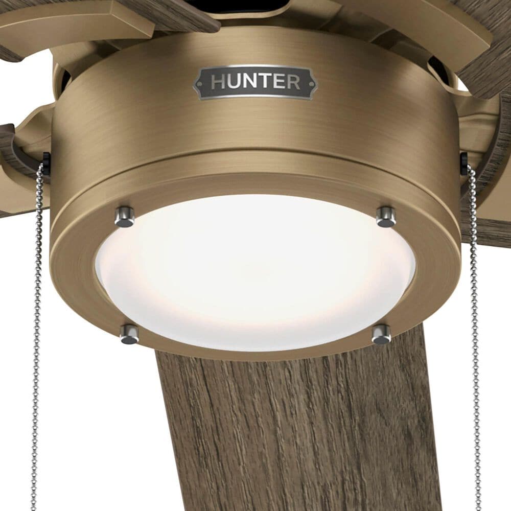 Hunter-Douglas Erling 52&quot; Ceiling Fan with LED Light in Burnished Brass, , large