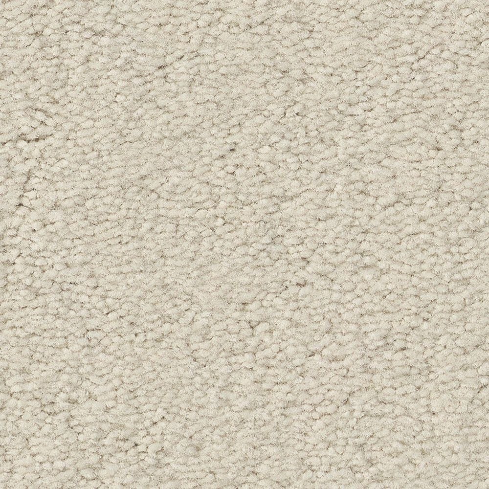 Anderson Tuftex Finery Carpet in Alabaster, , large