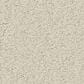Anderson Tuftex Finery Carpet in Alabaster, , large
