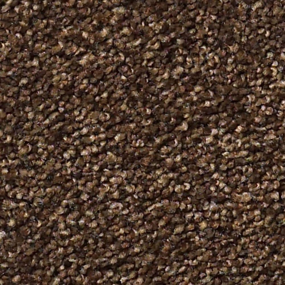 Shaw Find Your Comfort NS II Carpet in Chocolate Treat, , large