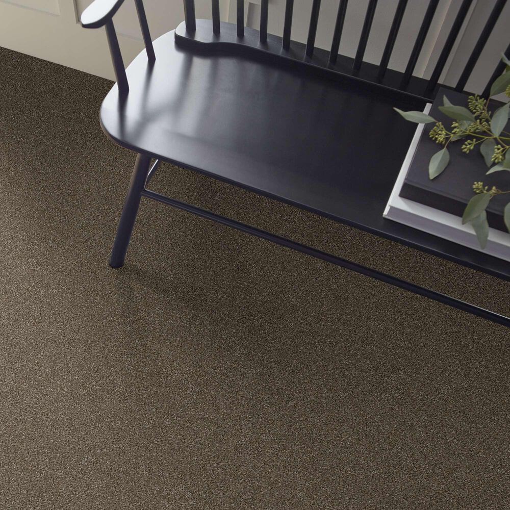 Shaw Without Limits II Carpet in Bountiful, , large