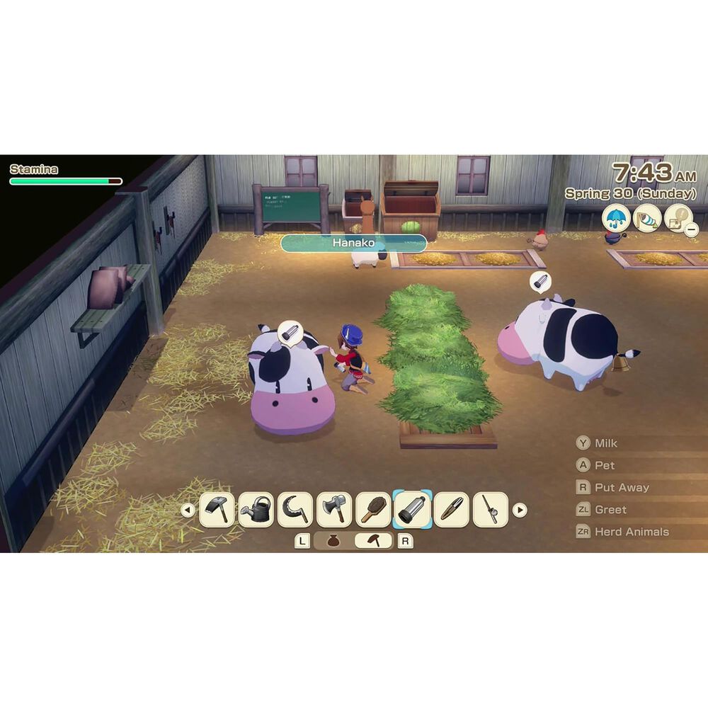 Story Of Seasons: Grand Bazaar - Nintendo Switch 2, , large
