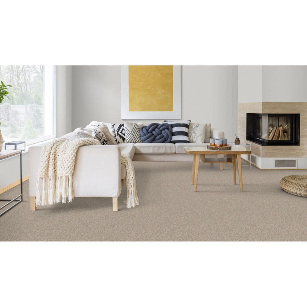 Dixie Home Bella Carpet in Canine, , large