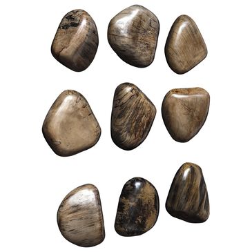Uttermost Pebbles 5" x 6" Wood Wall Decor in Walnut Brown (Set of 9), , large