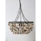 Creative Coop Ostra 29" Oyster Shell Chandelier with Black and Natural Shade, , large
