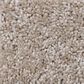Shaw Make It Yours Carpet in Wood Bridge, , large