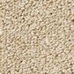 Anderson Tuftex Bali Carpet in Summertime, , large