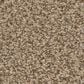 Anderson Tuftex Avalon Bay Carpet in Powdered Gold, , large