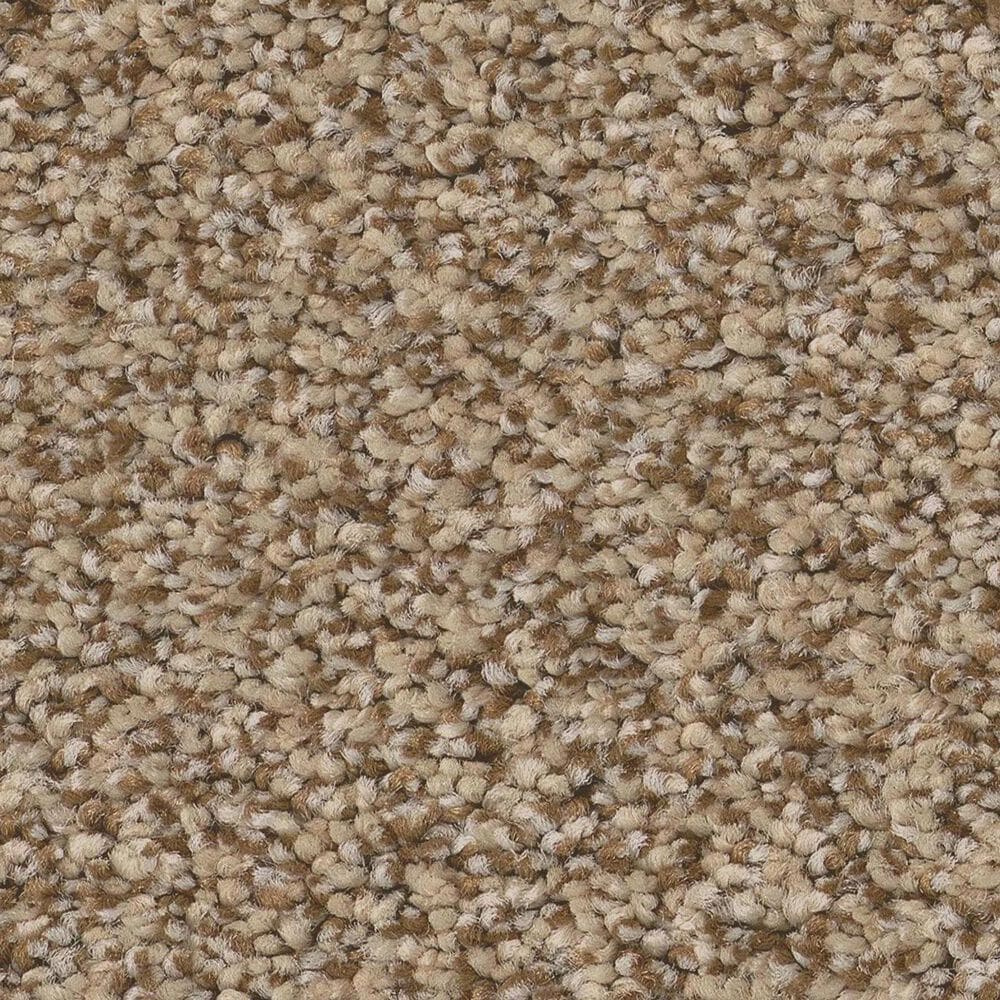 Anderson Tuftex Avalon Bay Carpet in Powdered Gold, , large