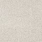 Dixie Home Big Splash Carpet in Seashell, , large