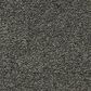 Mohawk Gentle Guardian lV Carpet in New Moon, , large