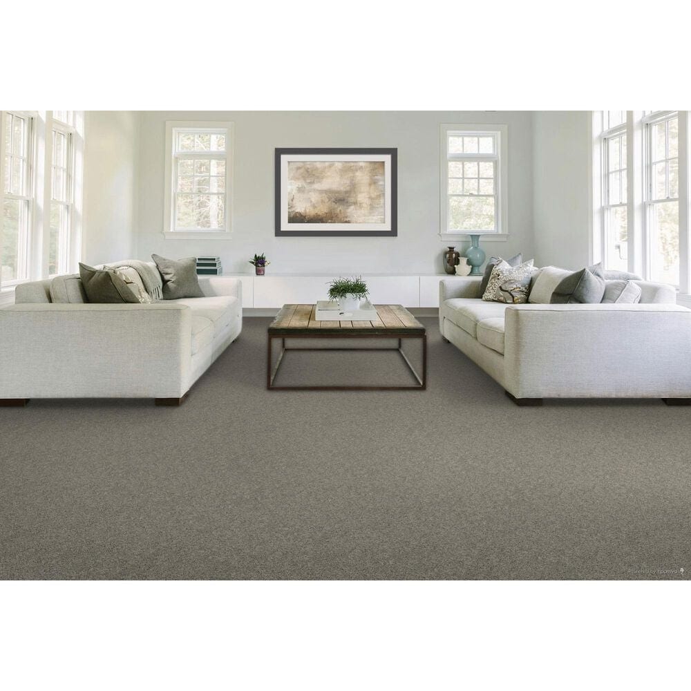 Mohawk Revive Carpet in Winter Ash, , large