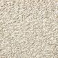 Shaw Find Your Comfort TT II Carpet in Homemade Ice Cream, , large