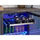 Zephyr 24" ADA Single Zone Beverage Cooler with Glass Door in Black and Stainless Steel, , large