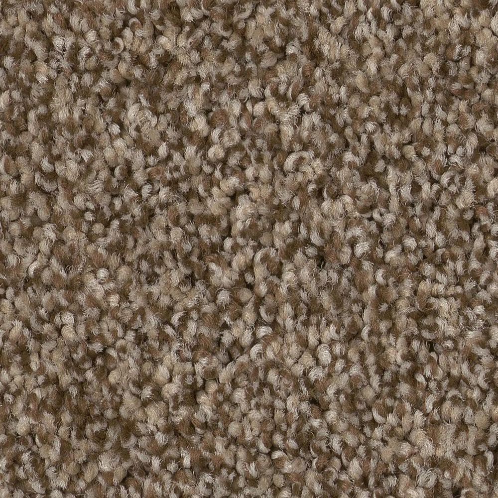 Anderson Tuftex Bossa Nova Carpet in Joshua Tree, , large