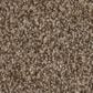 Anderson Tuftex Bossa Nova Carpet in Joshua Tree, , large