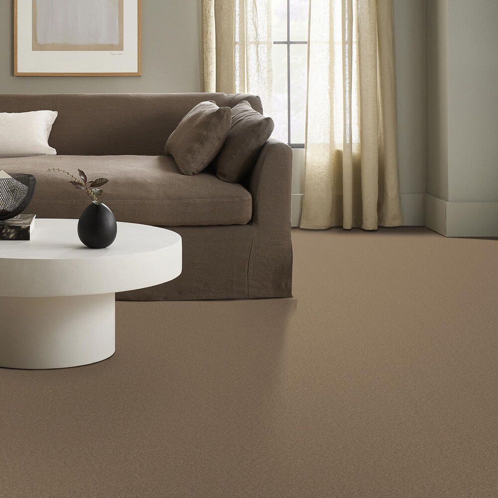 Anderson Tuftex Enduring Charm Carpet in Biscotti, , large
