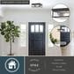 Vaxcel Clinton 2-Light Outdoor Flush Mount in Matte Black, , large