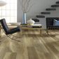 Shaw Cathedral Oak Shawshank 9" x 59" Luxury Vinyl Tile, , large