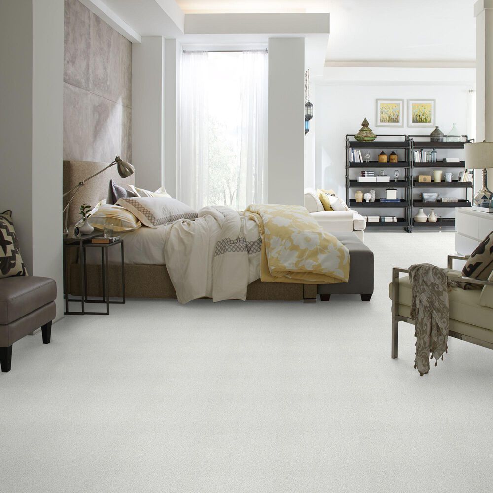Shaw Find Your Comfort TT II Carpet in Coming Home, , large
