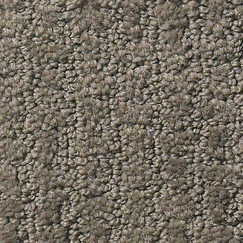 Shaw Foundations Complete Control Carpet in Front Gate, , large