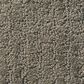 Shaw Foundations Complete Control Carpet in Front Gate, , large