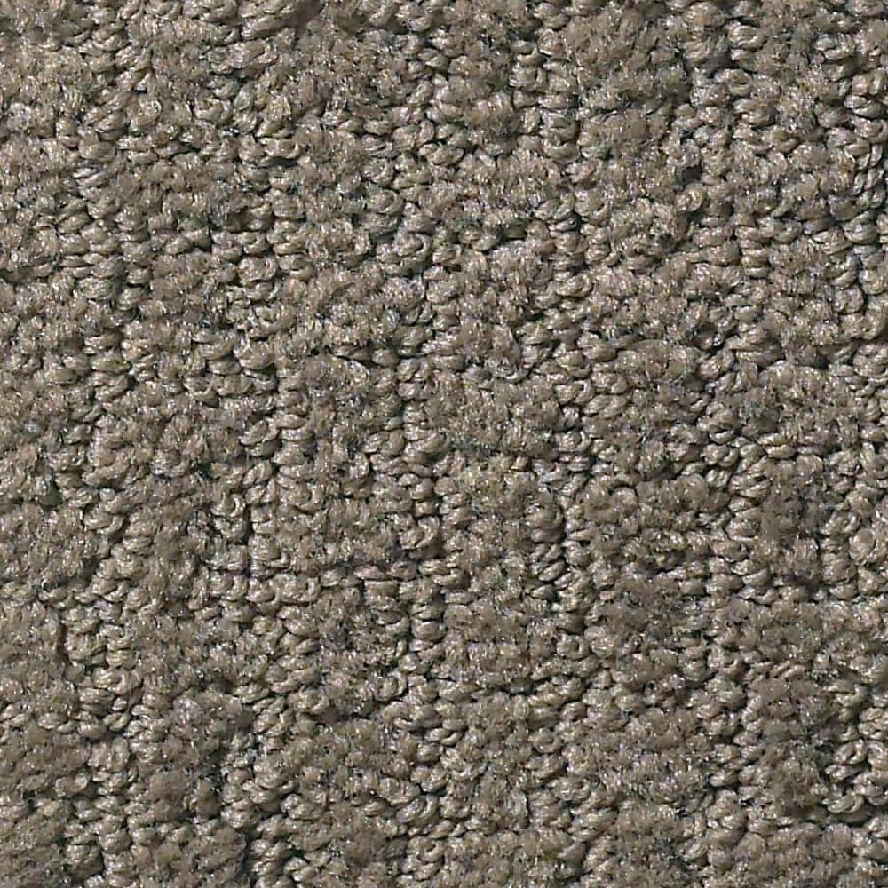 Shaw Foundations Complete Control Carpet in Front Gate, , large