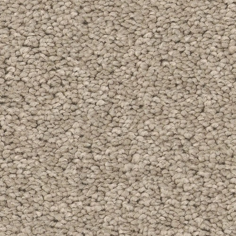 Philadelphia Champagne Taste II Carpet in Chic Greige, , large
